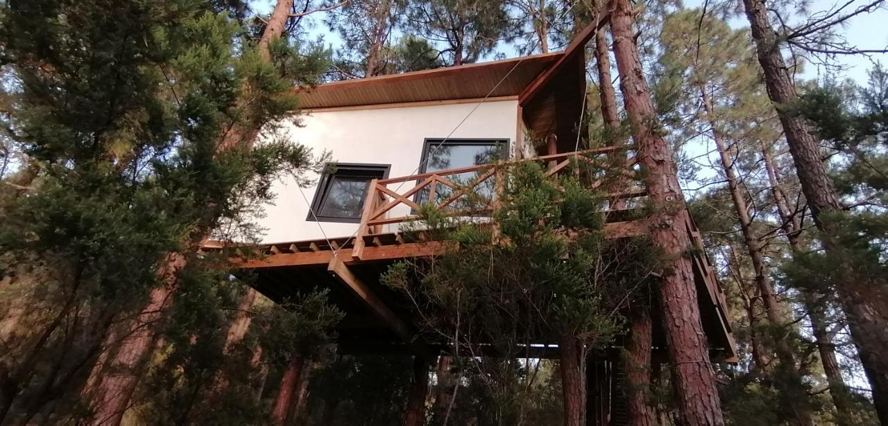La Guancha Casita Colgada "Can Lia" מראה חיצוני תמונה