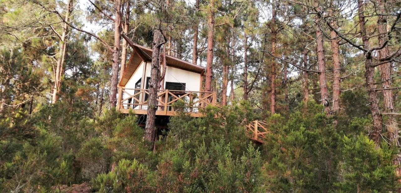 La Guancha Casita Colgada "Can Lia" מראה חיצוני תמונה